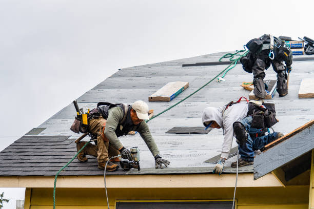 Professional Gutter Installation technician working in Paris, MO